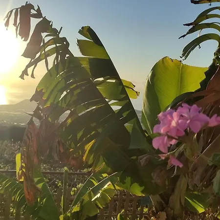 Дом отдыха Beautiful Safari Tent With Breathtaking Views For A Relaxing Getaway In Nature In Tenerife, Spain *